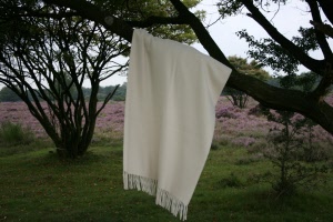 m201091p0000-o080001-1024x683